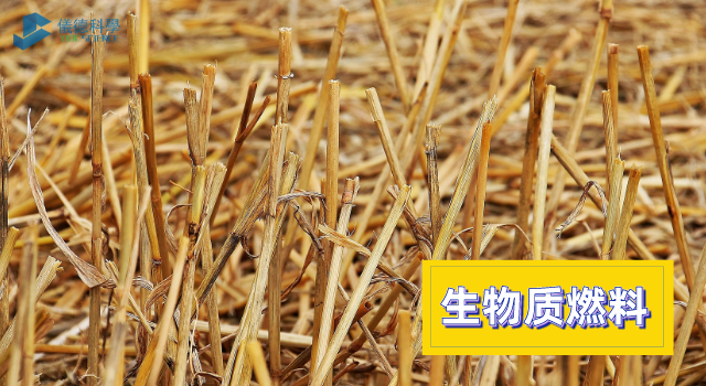 生物質燃料
